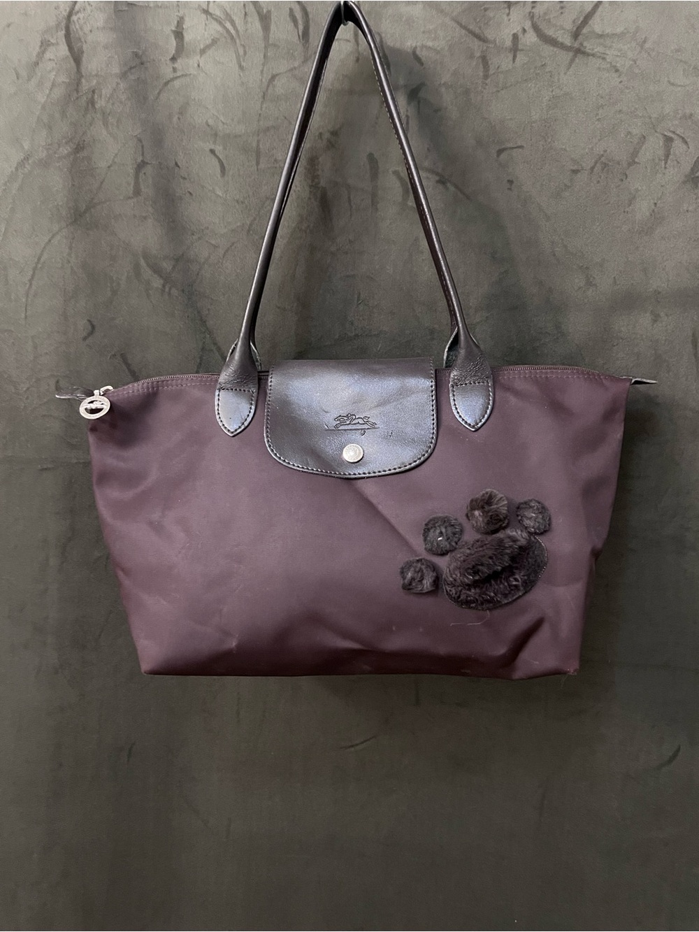 Longchamp Tote in Dark Brown with Paw Appliqué